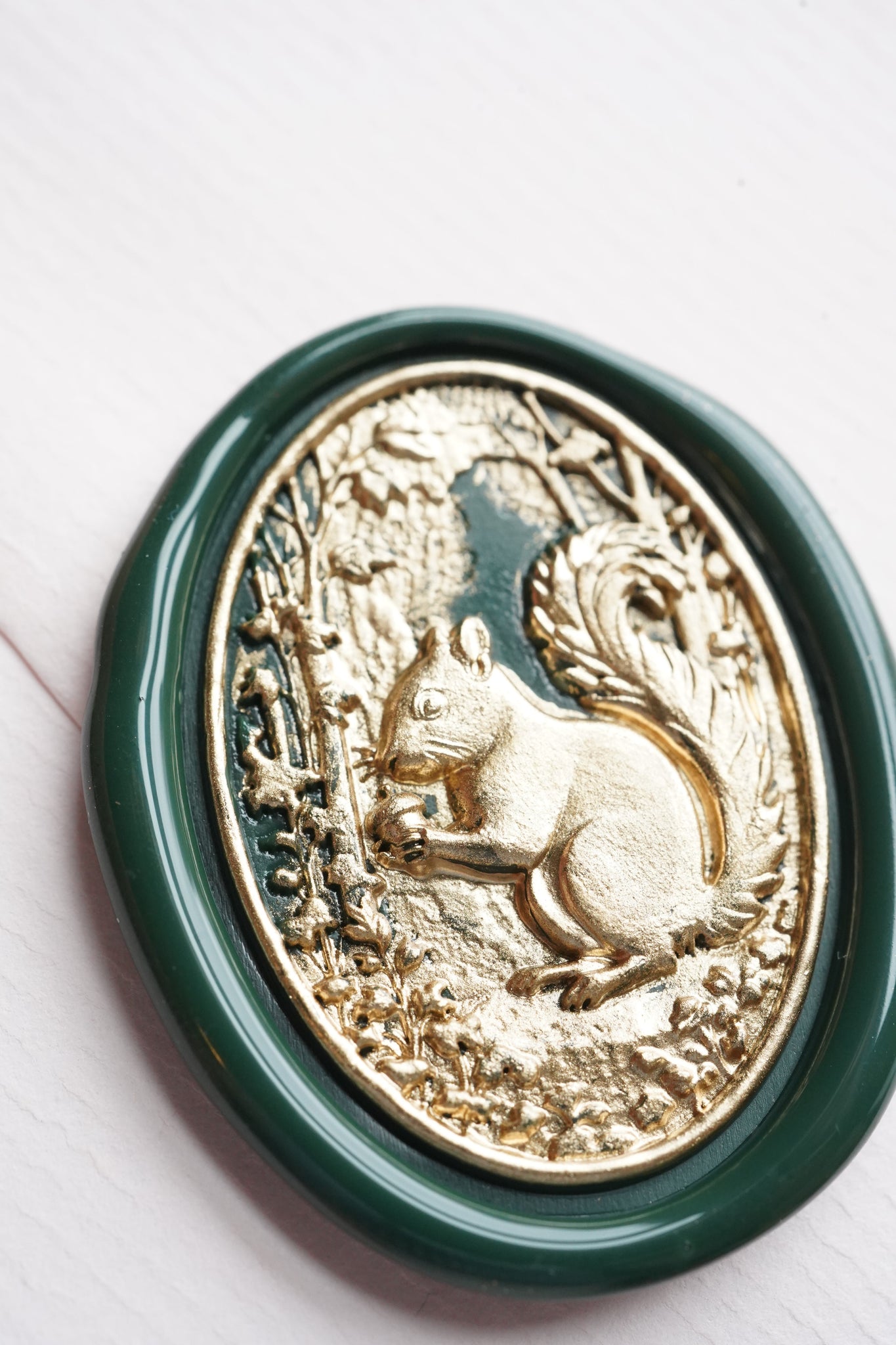 SealingSundays Begins... with a Squirrel 🐿️