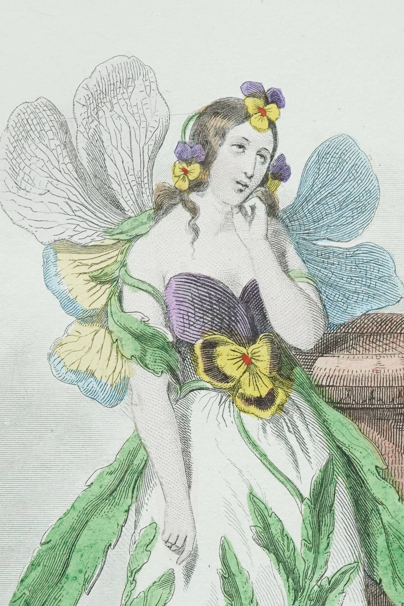 The Flower That Knocks, and No One Lets In 🌺