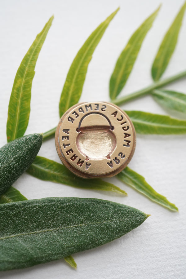 Cauldron Witch Penny