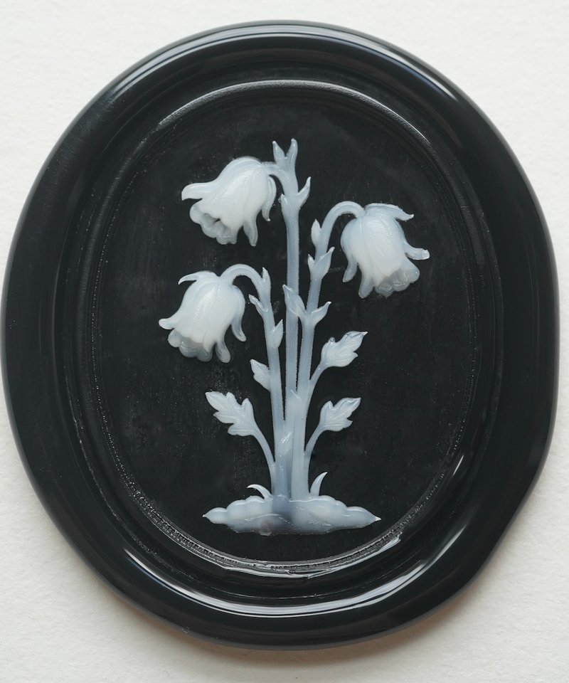 Ghost Pipe Floriography Seal